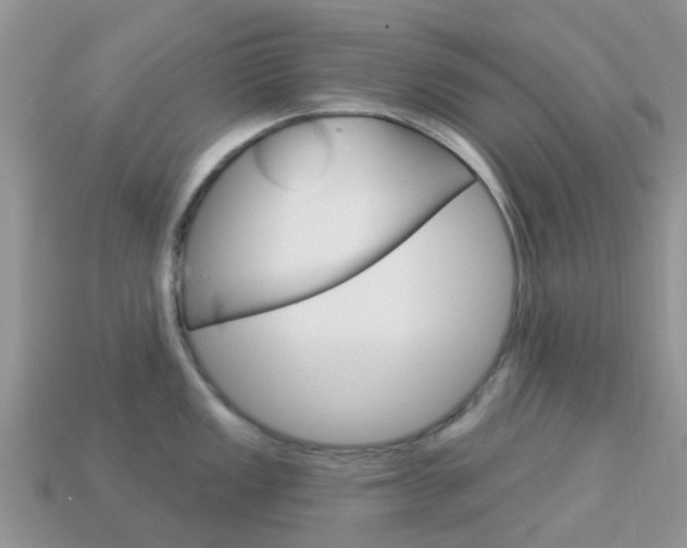 X0000114241149200910091344