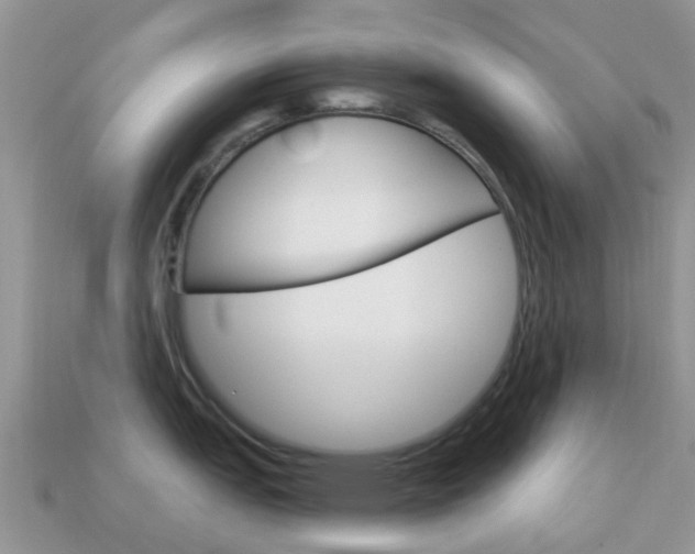 X0000114241151200910091344