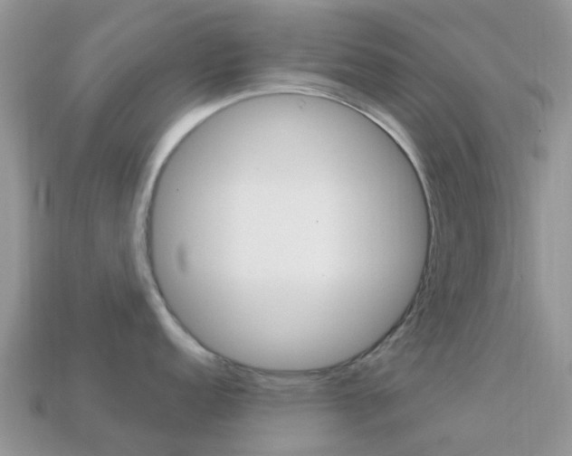 X0000114241152200910091344