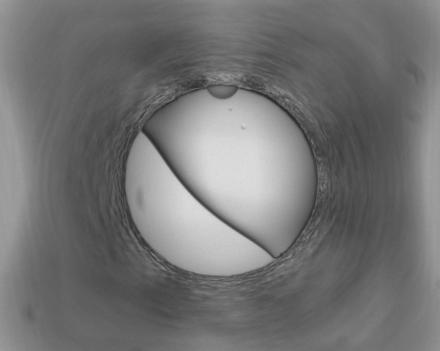 X0000114241153200910091343