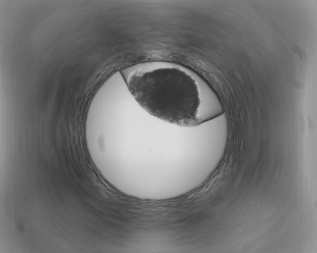 X0000114241155200910091343