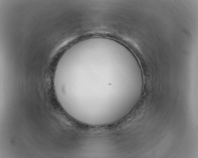 X0000114241159200910091343