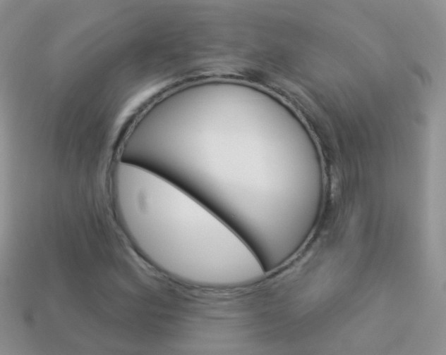 X0000114241164200910091343