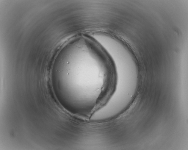 X0000114241169200910091343