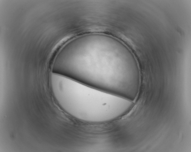 X0000114241171200910091343