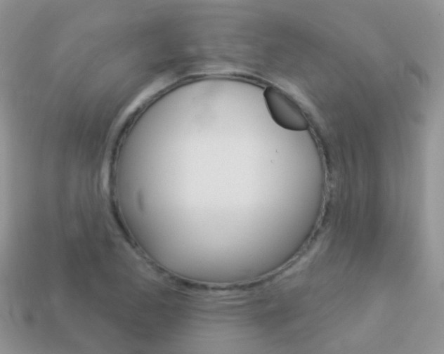 X0000114241173200910091343