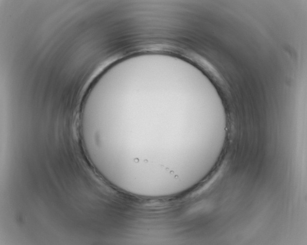 X0000114241178200910091343