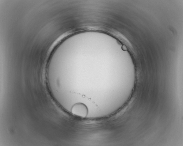 X0000114241182200910091343