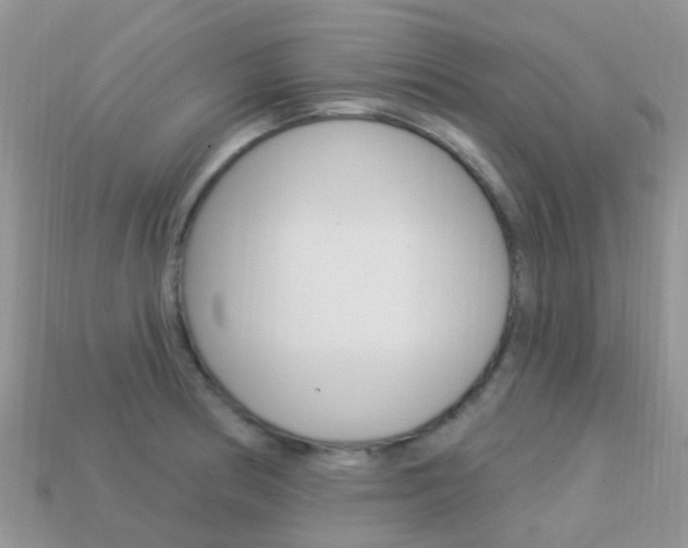 X0000114241186200910091343