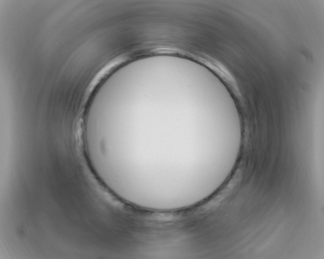 X0000114241190200910091343
