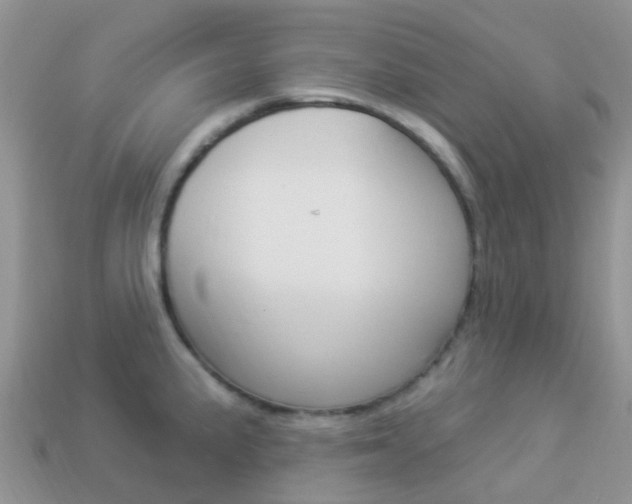 X0000114241191200910091343