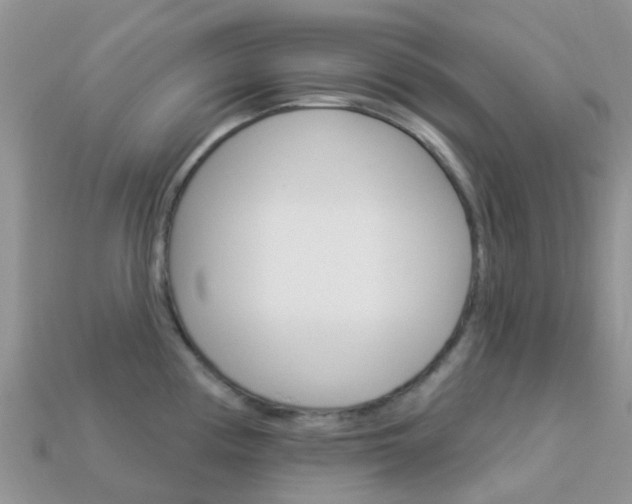 X0000114241194200910091343