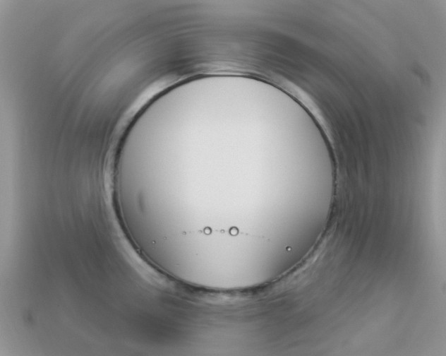 X0000114241195200910091343