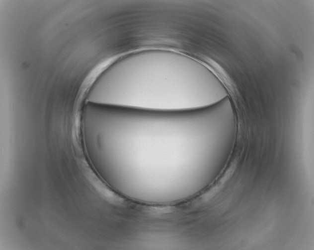 X0000114241196200910091343