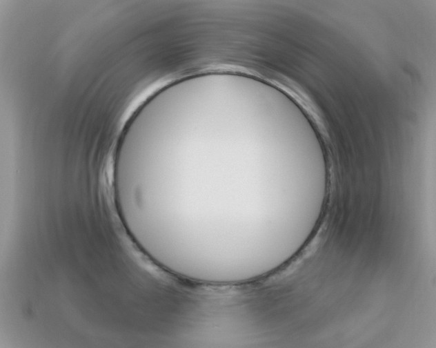 X0000114241198200910091343
