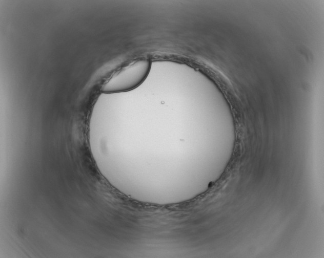 X0000114241207200910091342