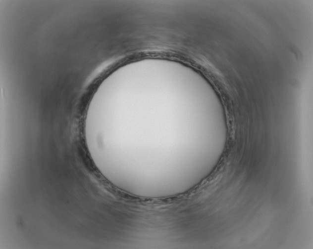 X0000114241208200910091342