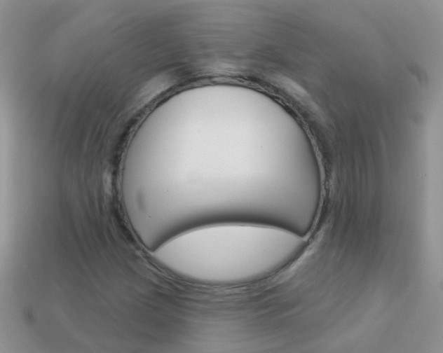 X0000114241209200910091342