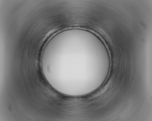 X0000114241210200910091342