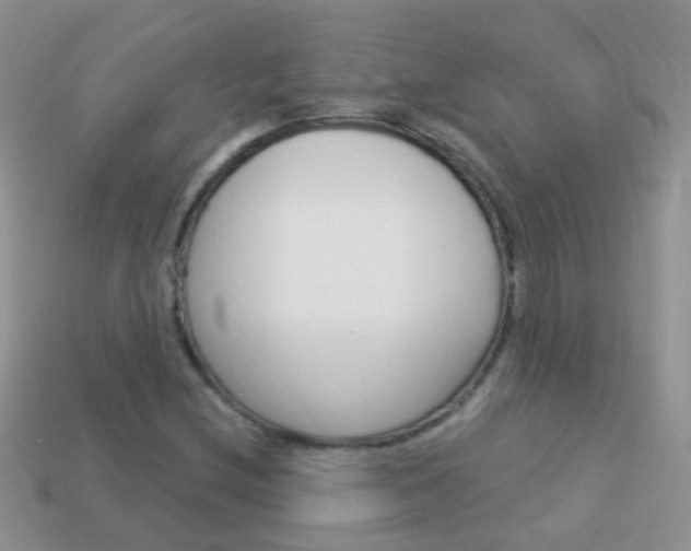 X0000114241212200910091342