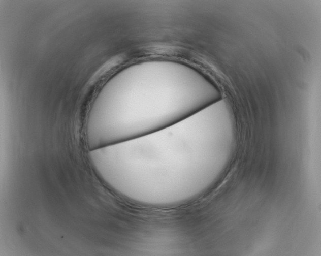 X0000114241213200910091342