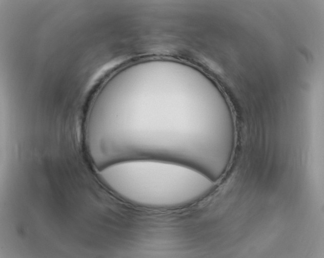 X0000114241214200910091342