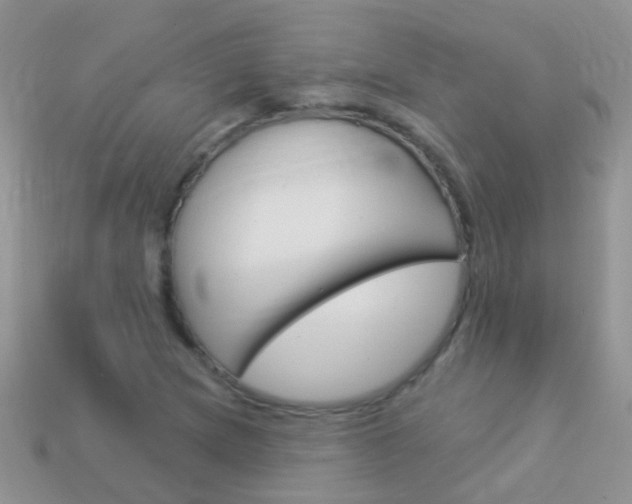 X0000114241217200910091342