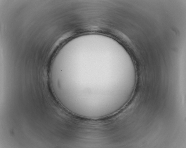 X0000114241218200910091342