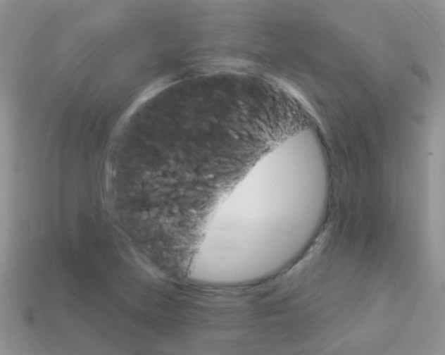 X0000114241219200910091342