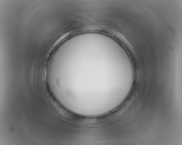 X0000114241220200910091342
