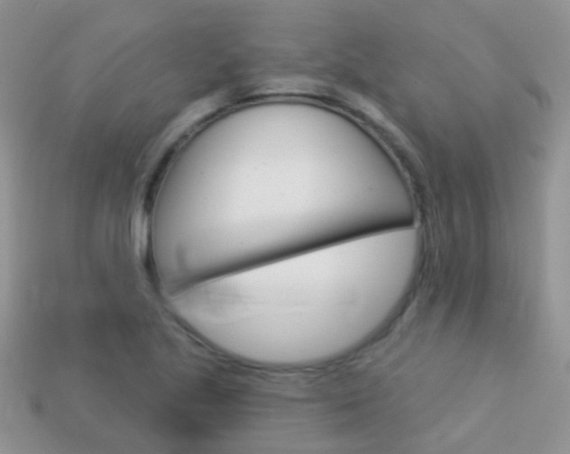 X0000114241221200910091342