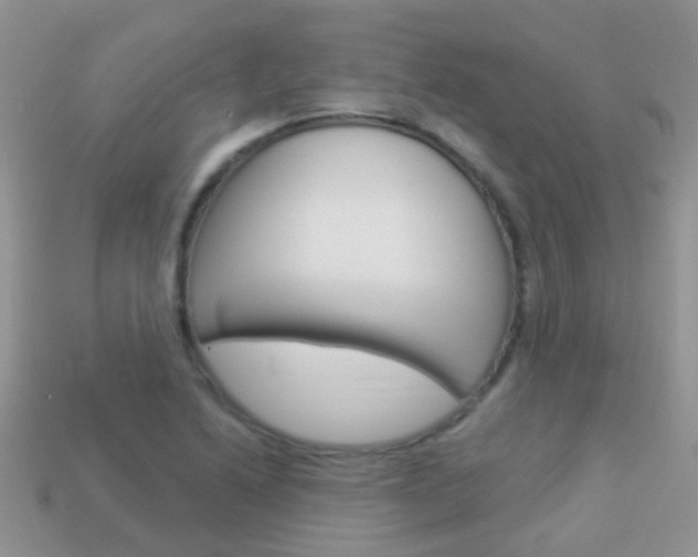 X0000114241222200910091342
