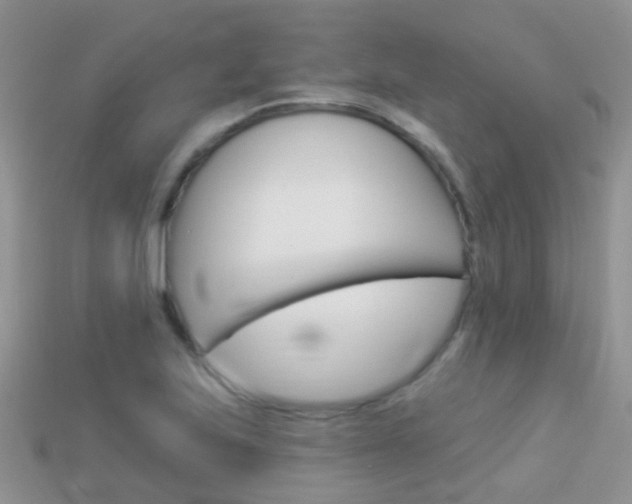 X0000114241223200910091342