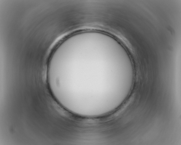 X0000114241224200910091342