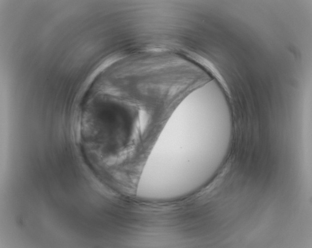X0000114241227200910091342