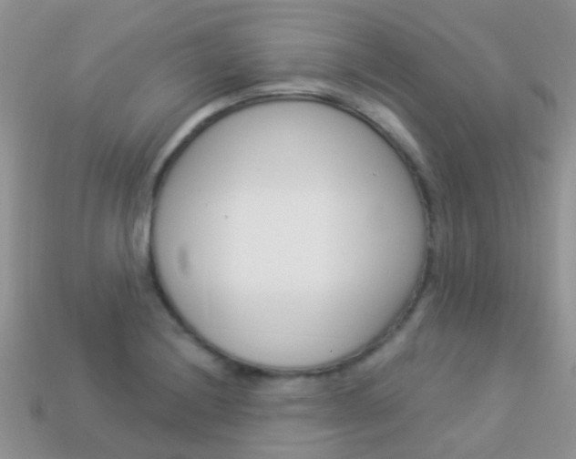 X0000114241228200910091342