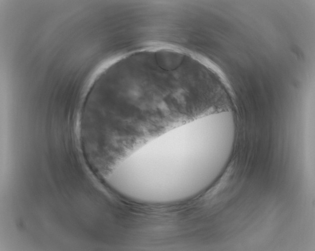X0000114241231200910091342