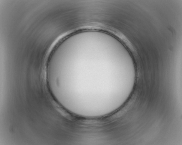 X0000114241232200910091342