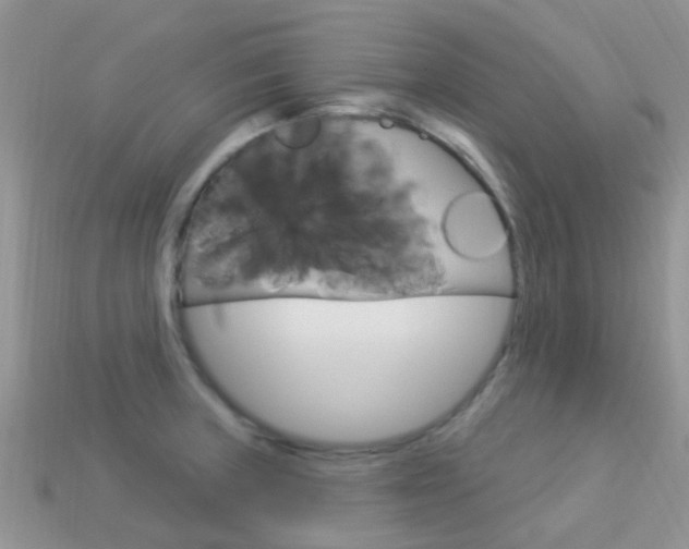 X0000114241235200910091342
