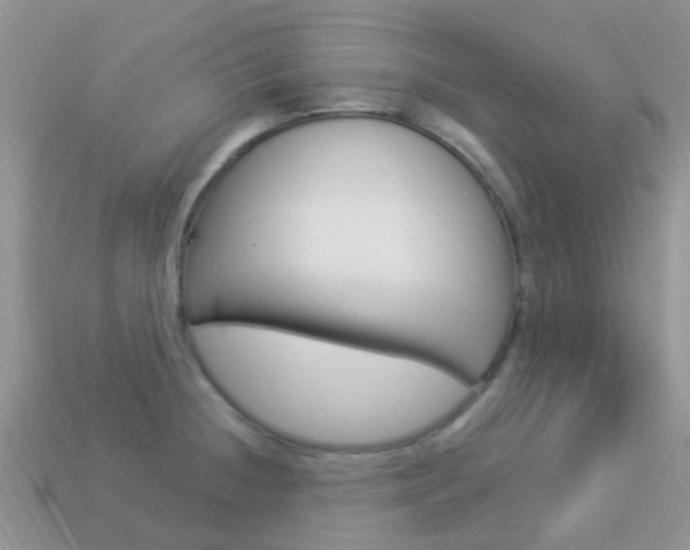 X0000114241236200910091342