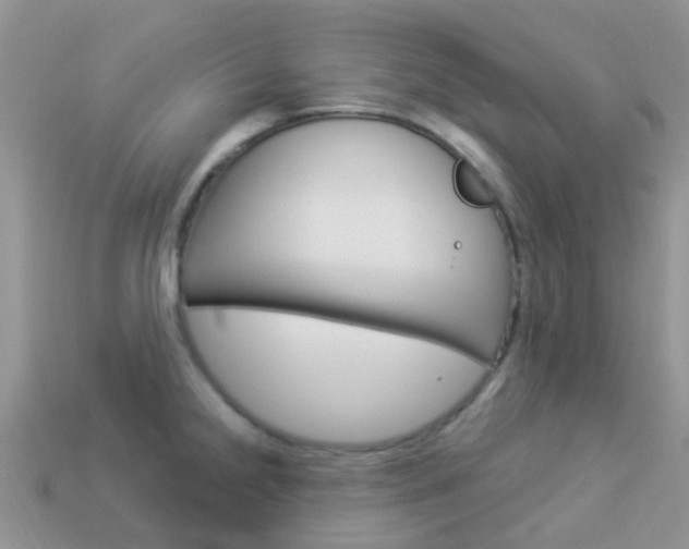 X0000114241238200910091342
