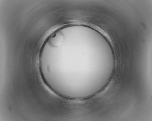 X0000114241239200910091342