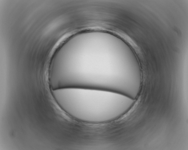 X0000114241240200910091342