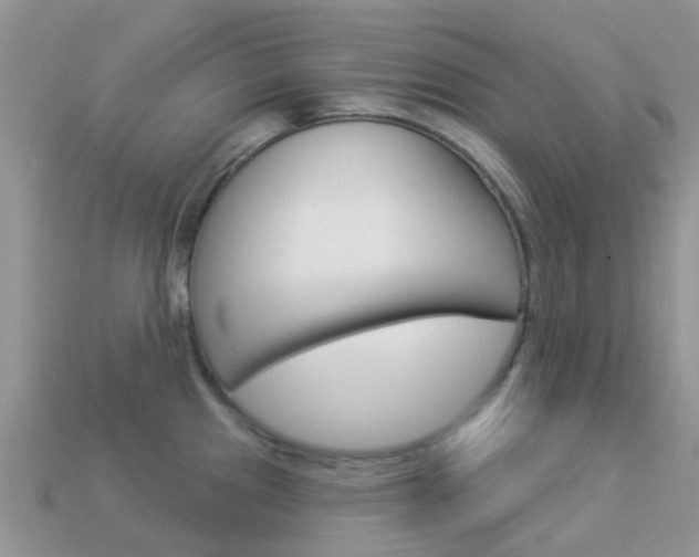 X0000114241241200910091342