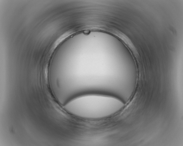 X0000114241242200910091342