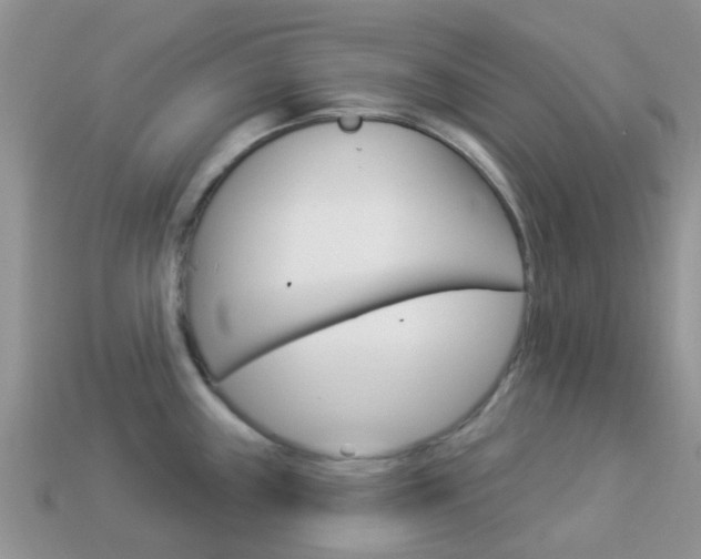 X0000114241243200910091342