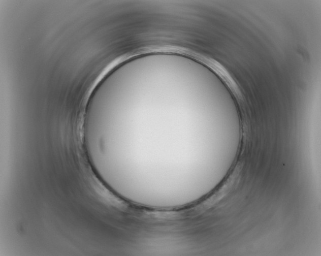X0000114241244200910091342