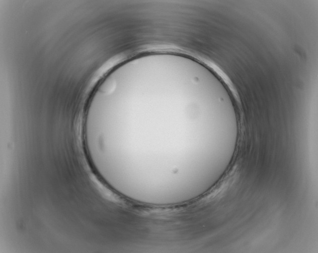X0000114241245200910091342