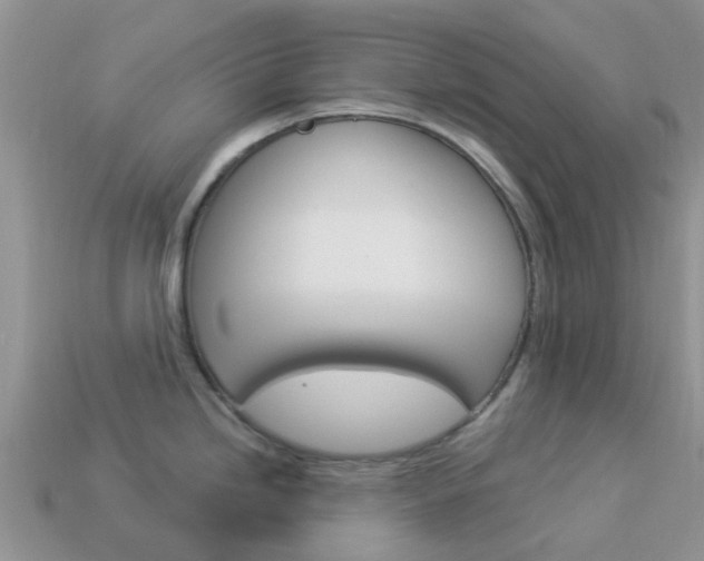 X0000114241246200910091342
