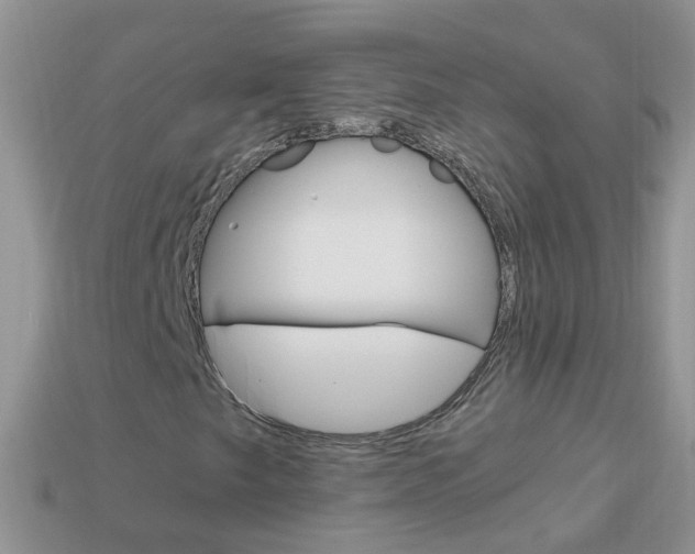 X0000114241249200910091342
